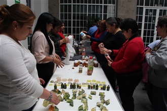 MT DEL PRI CDMX REALIZA TALLER PARA LA ELABORACIÓN DE PRODUCTOS CON PLANTAS MEDICINALES