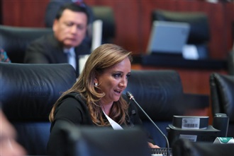 PROPONE RUIZ MASSIEU AL SENADO HOMENAJE A MARÍA DE LOS ÁNGELES MORENO