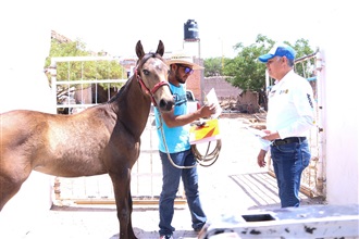 EL ARQUI NOEL CERRARÁ CON FUERZA SU CAMPAÑA POR EL DISTRITO 1 FEDERAL