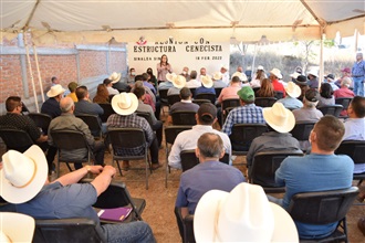 EL GOBIERNO FEDERAL, SE HA OLVIDADO DE LA IMPORTANCIA DEL CAMPO SINALOENSE Y DE TODO MÉXICO: CINTHIA VALEN...